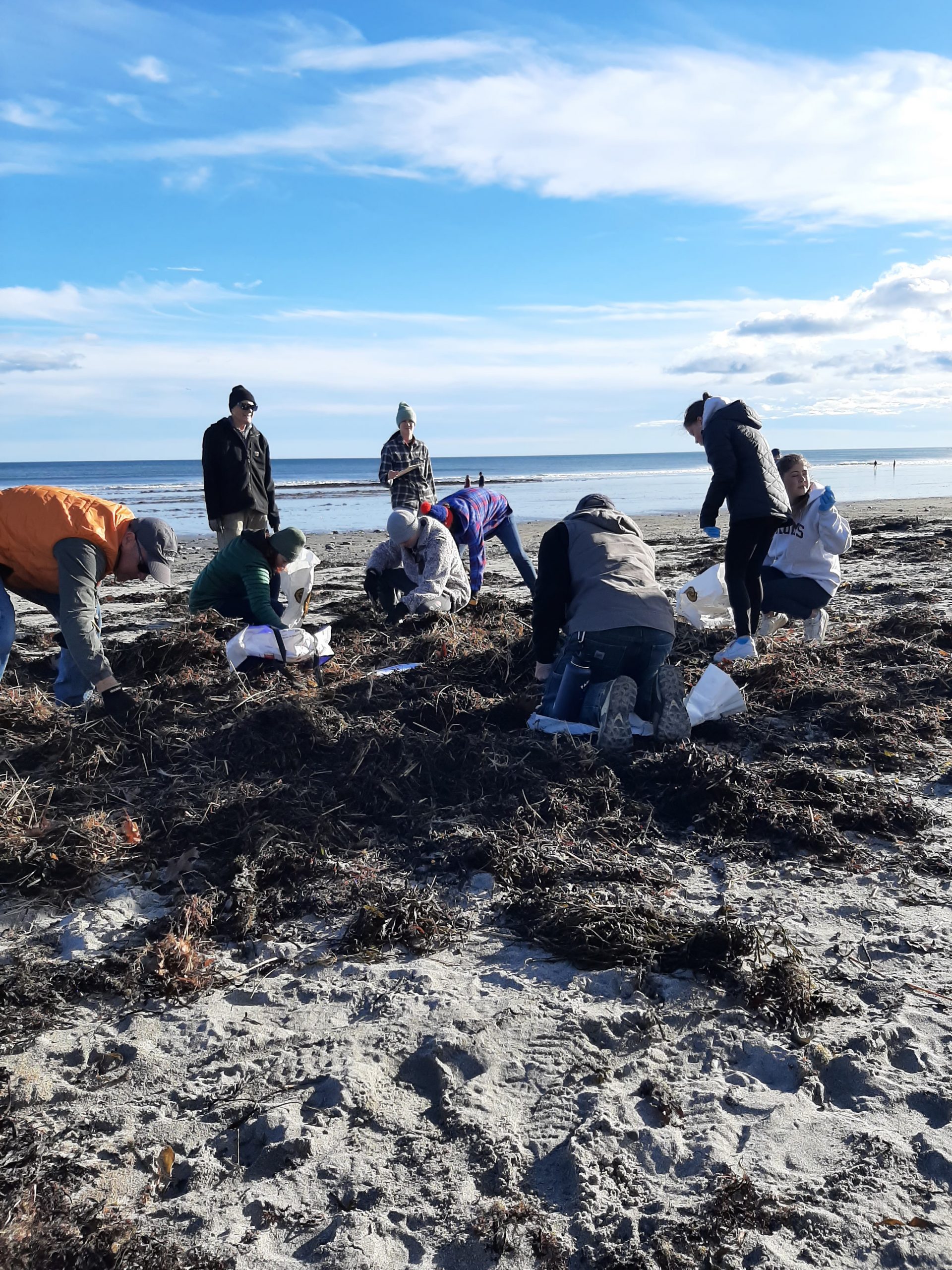 First Day Cleanup Thank You Blue Ocean Society For Marine Conservation