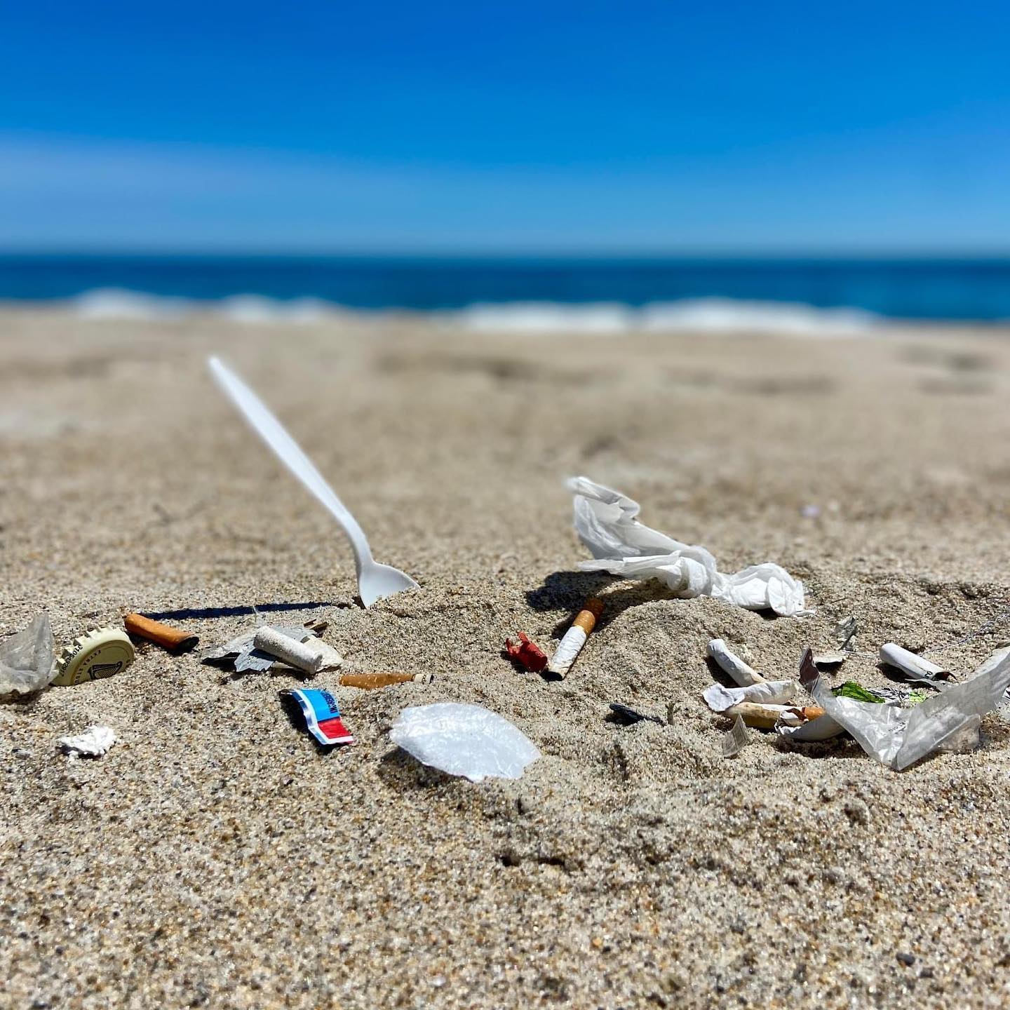 Public Beach Cleanup Hosted by NH Climate Action-League of Conservation Voters