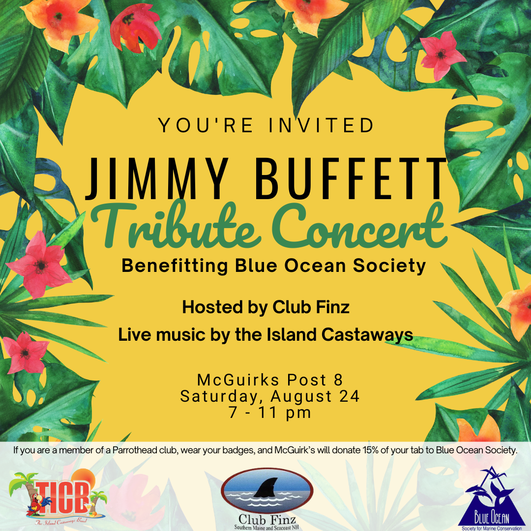 Jimmy Buffet Tribute with Club Finz