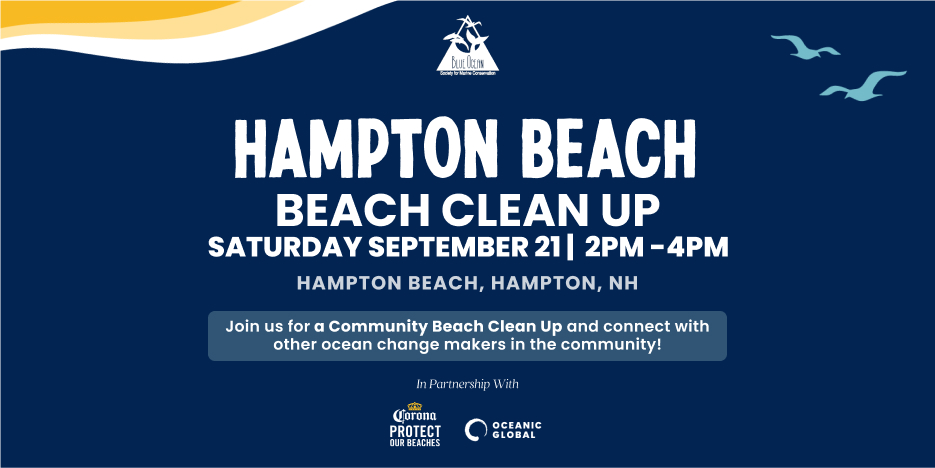 Oceanic Global and Blue Ocean Society Community Cleanup: Hampton Beach, NH